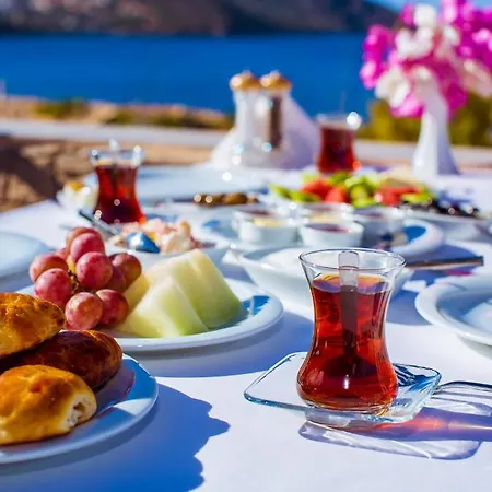 Otel Zinbad 3*