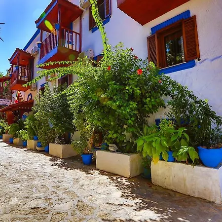 Zinbad Otel 3*